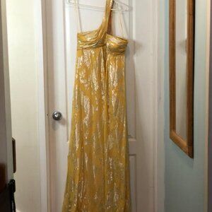 Bridgerton Regency Era Style Dress